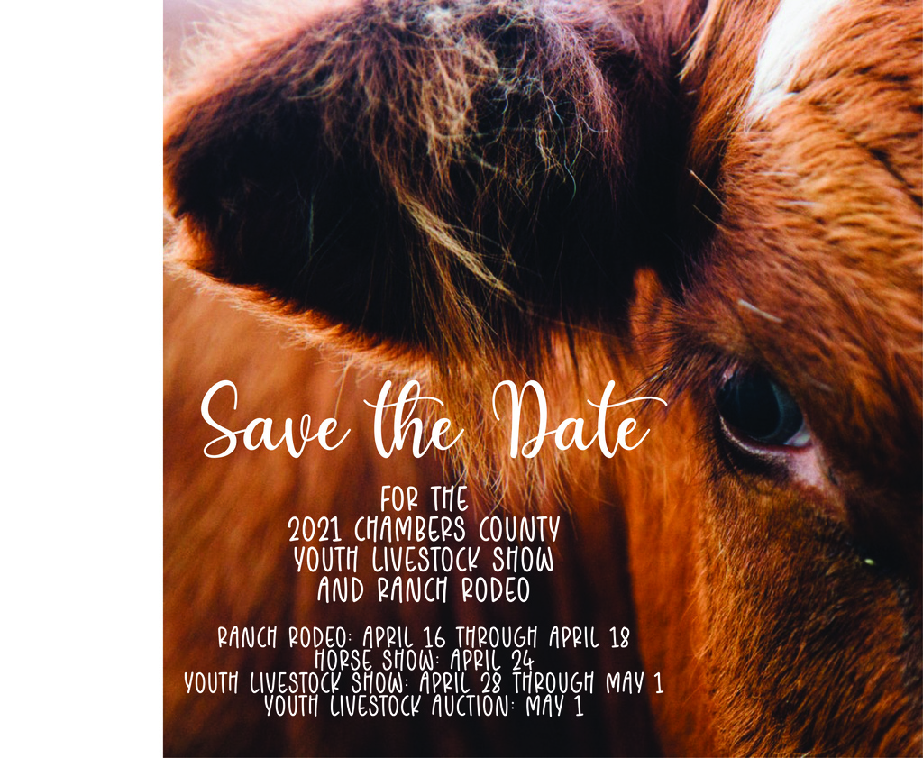 save the date for CCYLSRR